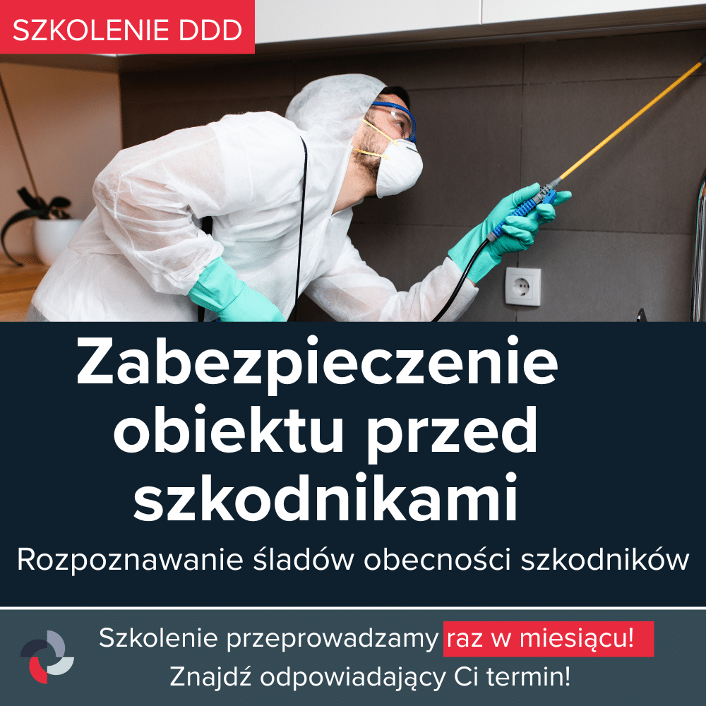szkolenie DDD