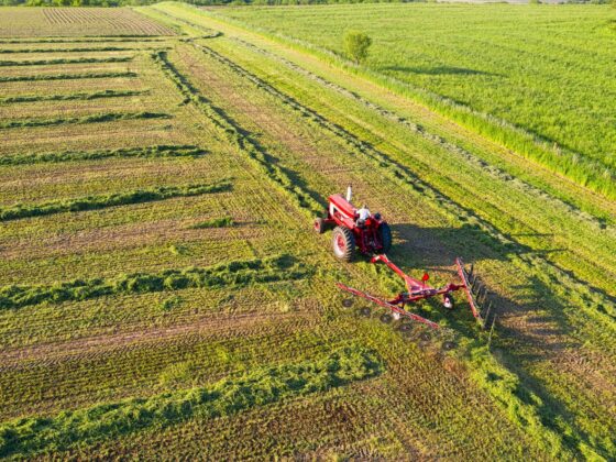 Zasady prowadzenia ewidencji zabiegów ochrony roślin