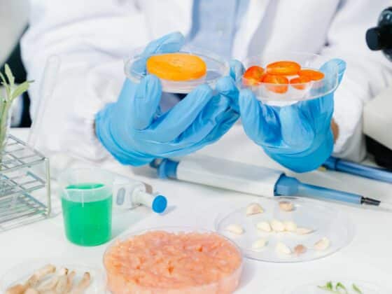 Walidacja metod alternatywnych wg ISO 16140