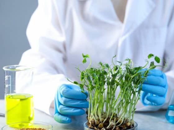 Rola Biologa Terenowego w nowoczesnym systemie jakości