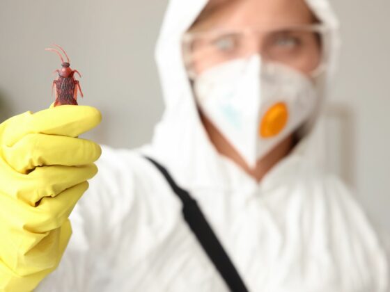 Zintegrowana ochrona przed szkodnikami (IPM) – jak udowodnić audytorowi, że system działa?